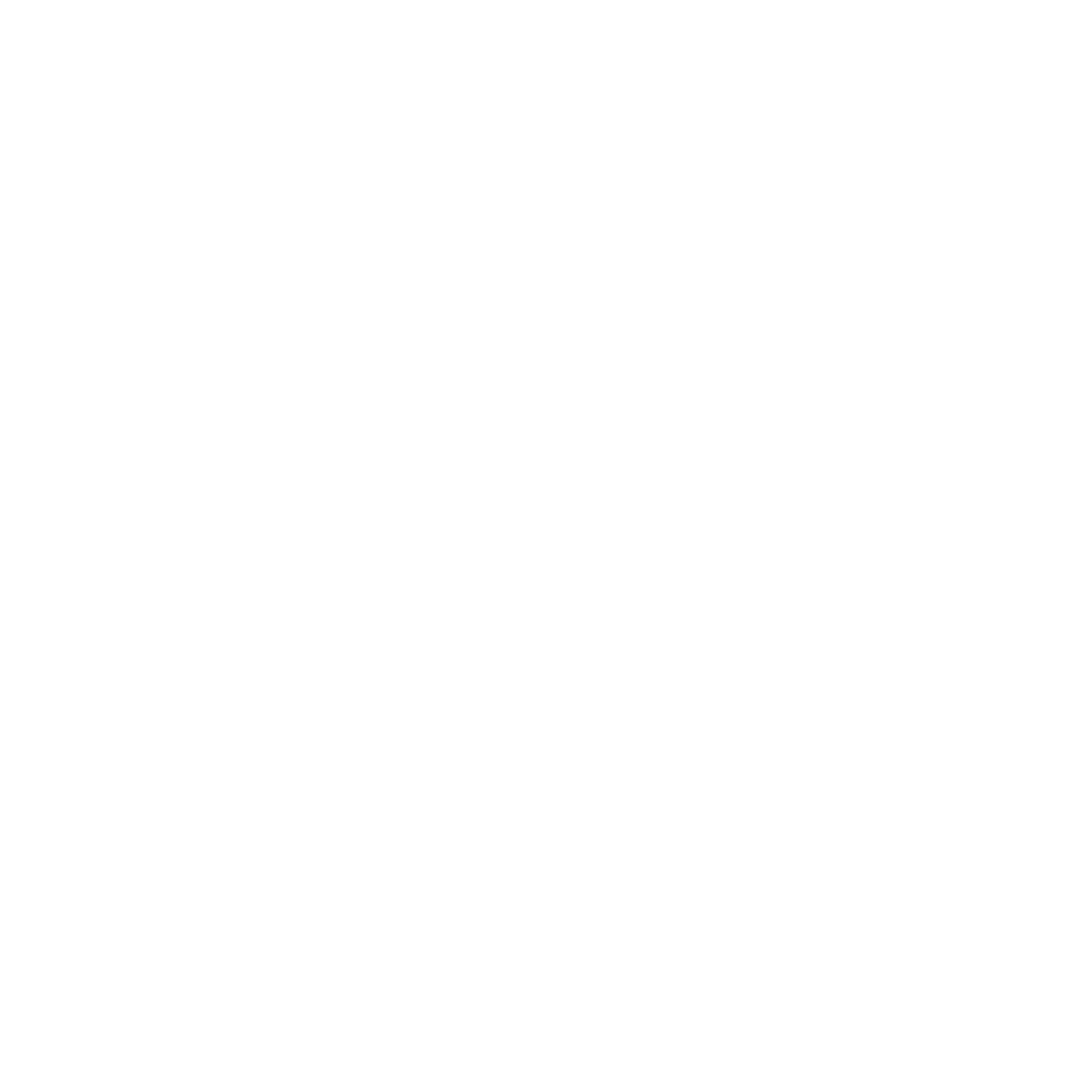 项目图