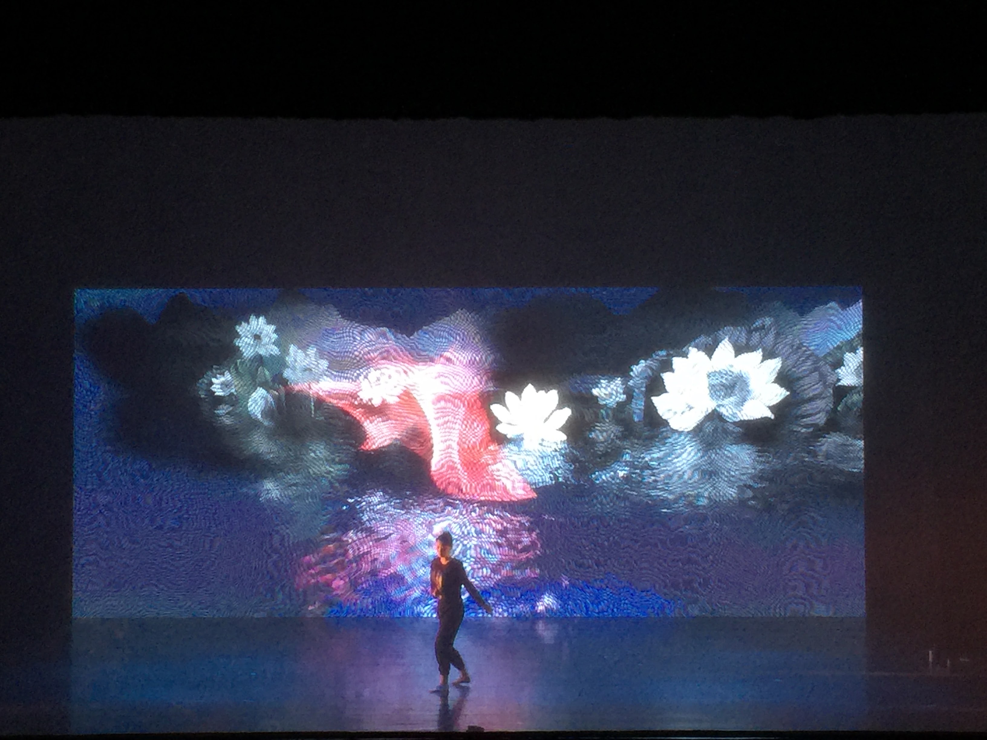 爱莲说 舞蹈学院 2015